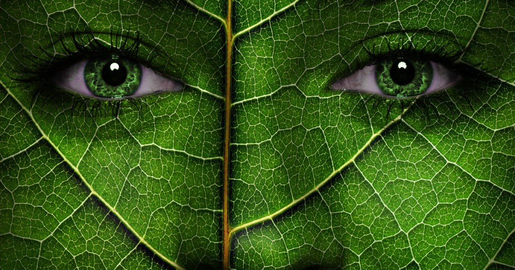 How Green Are You Personality Test